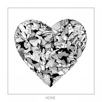 Monkey Safari - Home