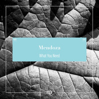 Mendoza - What You Need