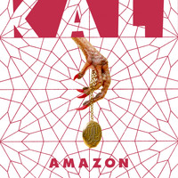 KALI - Amazon