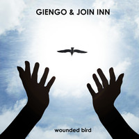Giengo & Join Inn - Wounded Bird