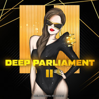 Deep Parliament - Deep Parliament 2