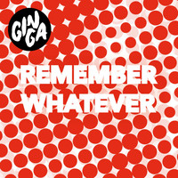 Gin Ga - Remember Whatever