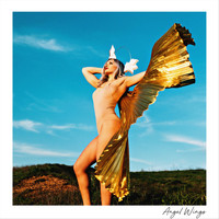 Lexx - Angel Wings