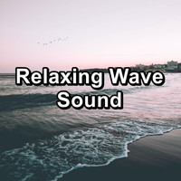 Nature Sounds Radio - Relaxing Wave Sound