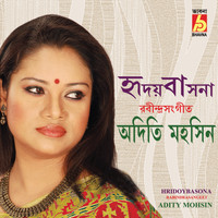 Adity Mohsin - Hridoy Basona