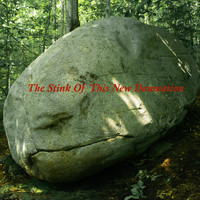 David Rozelle - The Stink of This New Damnation