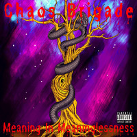 Chaos Brigade - Meaning in Meaninglessness (Explicit)