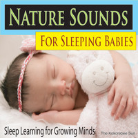 The Kokorebee Sun - Nature Sounds for Sleeping Babies (Sleep Learning for Growing Minds)