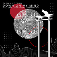 Fabian Lozano - Down On My Mind