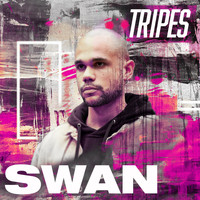 SWAN / - Tripes