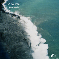 Willis Nillis / Chill Select - the fountain