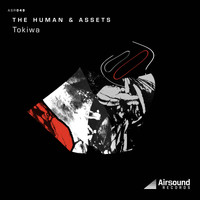 The Human & Assets - Tokiwa