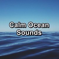Musical Spa - Calm Ocean Sounds