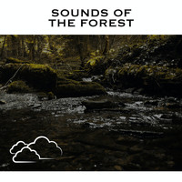 Loopable Radiance - Sounds of The Forest