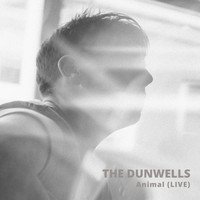 The Dunwells / - Animal (Live)