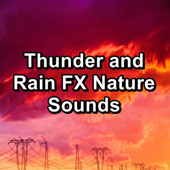 Relax - Thunder and Rain FX Nature Sounds