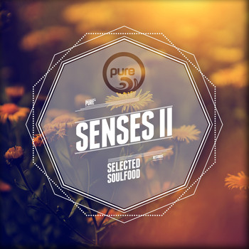 Various Artists - Pure Senses - Selected Soulfood, Vol. 2