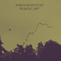 Håkon Kornstad - Waking Arp