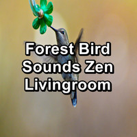 Birds - Forest Bird Sounds Zen Livingroom