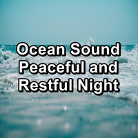 Nature Sounds Radio - Ocean Sound Peaceful and Restful Night