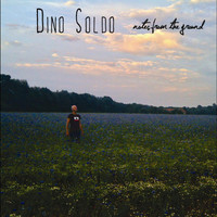 Dino Soldo - Notes from the Ground