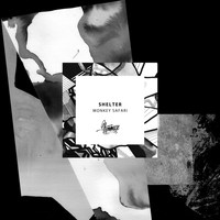 Monkey Safari - Shelter