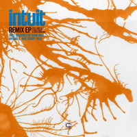 Intuit - Remix