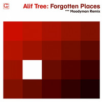 Alif Tree - Forgotten Places (Moodymann Remix)