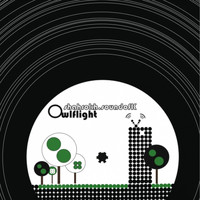Shahrokh SoundofK - Owlflight