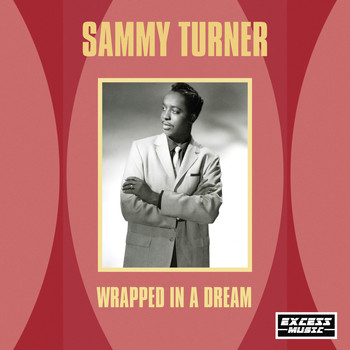 Sammy Turner - Wrapped In A Dream