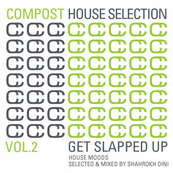 Shahrokh Dini - Compost House Selection Vol. 2 - Get Slapped Up - House Moods