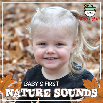 Hal Wright - Baby's First Nature Sounds (feat. Twin Sisters)