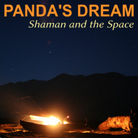 Panda's Dream - Shaman and the Space