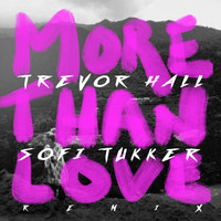 Trevor Hall - more than love (Sofi Tukker remix)