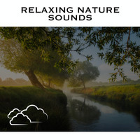 Loopable Radiance - Relaxing Nature Sounds