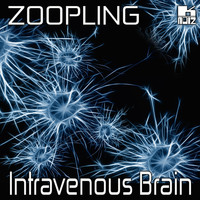 ZOOPLING - Intravenous Brain