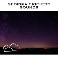 Loopable Radiance - Georgia Crickets Sounds