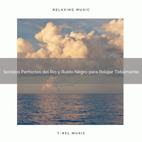 Ruido Blanco, Ruido Perfecto - Sonidos Perfectos del Río y Ruido Negro para Relajar Totalmente