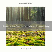 Sleep Dimension, De-stressing White Noise - Perfect Noises Of Ocean And Animals For Good Sleep