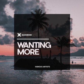 Various Artists - Wanting More