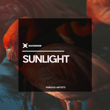 Various Artists - Sunlight