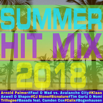Various Artists - Summer Hit Mix 2018