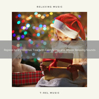 Christmas Sounds, Christmas Party Time - Rejoice by a Christmas Tree with Calm Songs and Winter Relaxing Sounds
