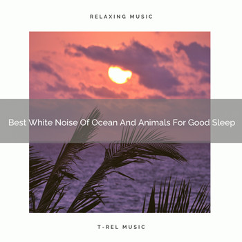 Noise Makers, De-stressing White Noise - Best White Noise Of Ocean And Animals For Good Sleep