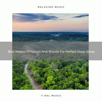 Sleep Dimension, De-stressing White Noise - Best Noises Of Nature And Woods For Perfect Deep Sleep