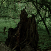Robot Koch - Unpaved