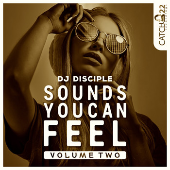 Various Artists - Sounds You Can Feel, Vol. 2