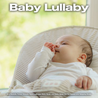 Baby Bedtime Lullaby, Baby Lullaby Academy, Baby Lullaby - Baby Lullaby: Bird Sounds, Forest Sounds, Baby Lullabies, Baby Music and Baby Sleep Aid For Babies and Sleeping Music