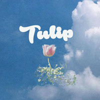 Lpm - Tulip