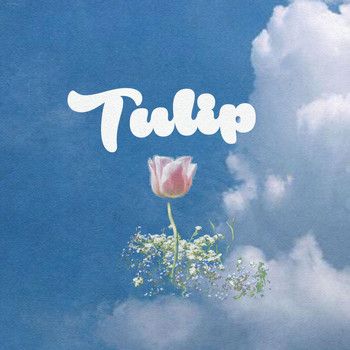 Lpm - Tulip